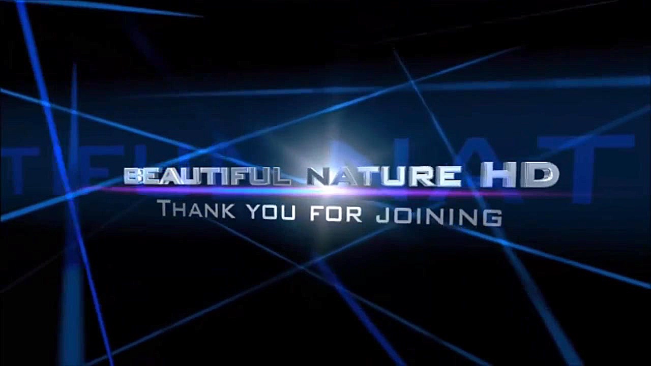 تایم لپس رشد قارچ