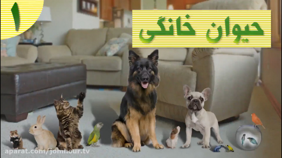 عاقبت اینهمه حیوون که با هم تو...