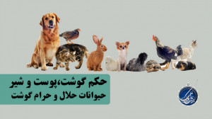 حکم خوردن گوشت حرام چیست ؟ | ا...