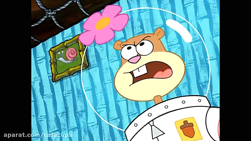 دانلود باب اسفنجی جدید  باب پا...