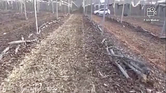 سرشاخه خوردکن پشت تراکتوری لئو...
