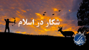 حکم شکار و صید در اسلام | احکا...