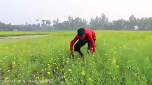 آمپول زدن اشتباهی خنده دار