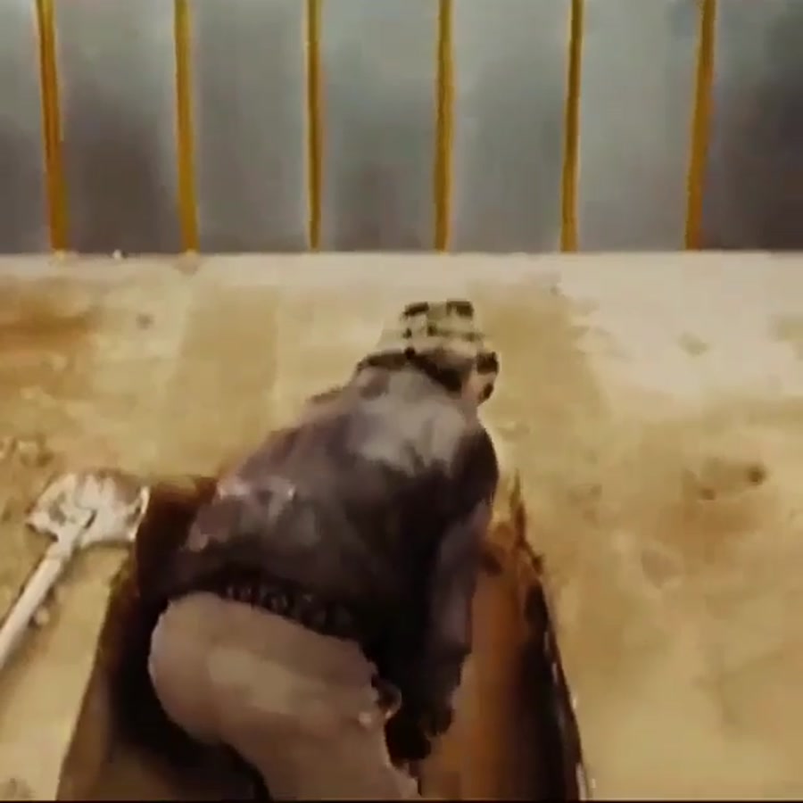 زیباترین دیالوگ ماندگار