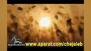 صحبت های ناگفته در مورد شهید چ...