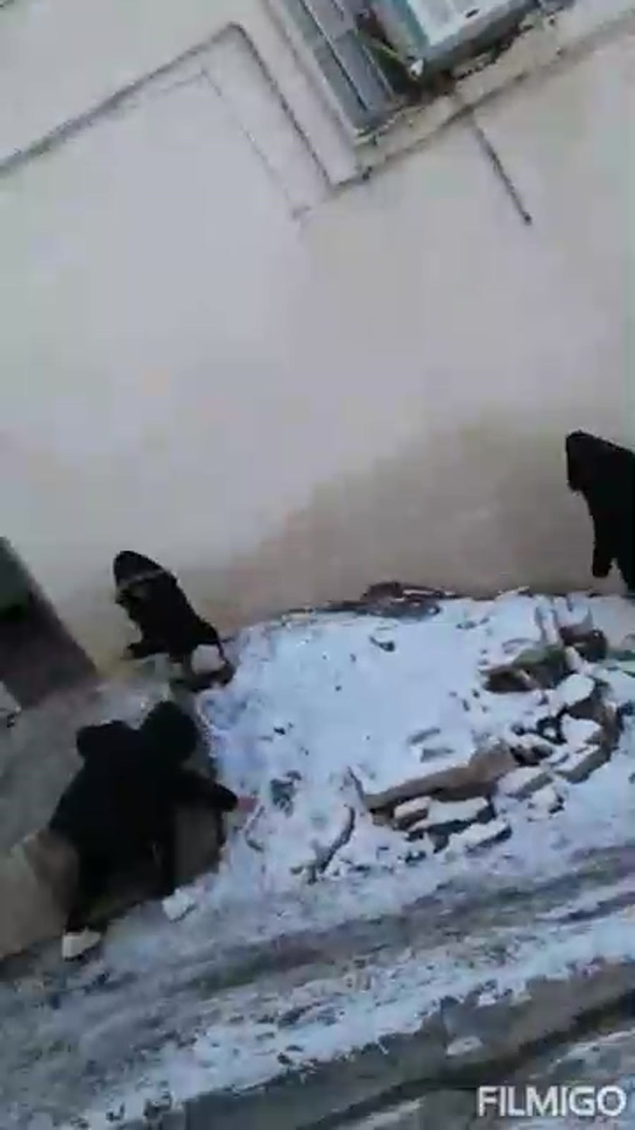 یه روزه برفی