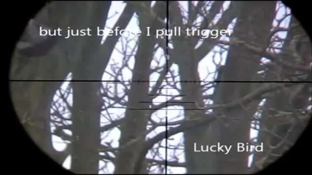 شکارتوسط سلاح بادی(اسلوموشن 6)