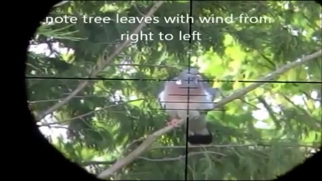 شکارتوسط سلاح بادی(اسلوموشن فو...