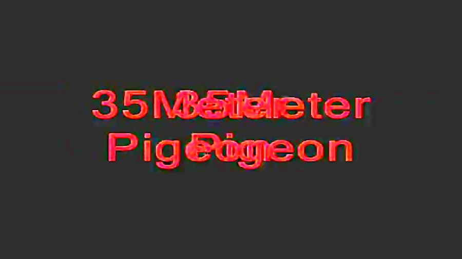 شکارتوسط سلاح بادی 11