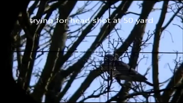 شکارتوسط سلاح بادی(اسلوموشن فو...