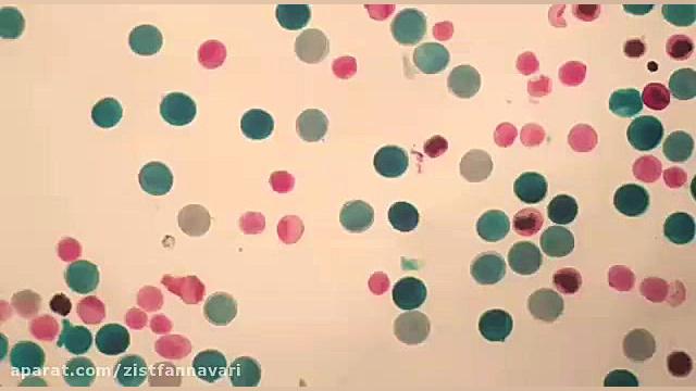 آموزشی زیست فناوری