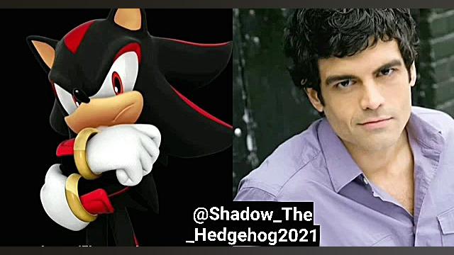 ترجمه کننده های شدو خارپشت