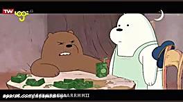 خرس های کله فندقی