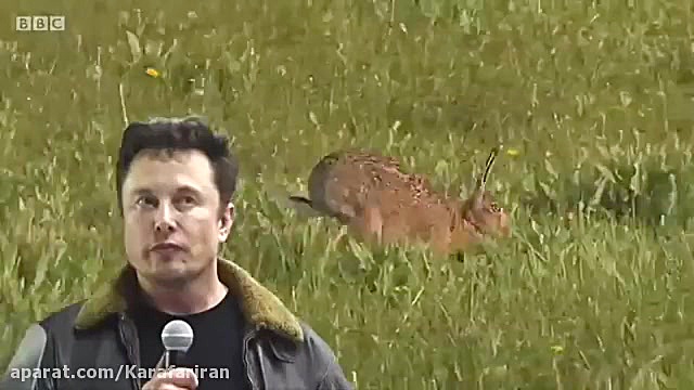 مسابقه فضایی سیلیکون ولی ایلان...