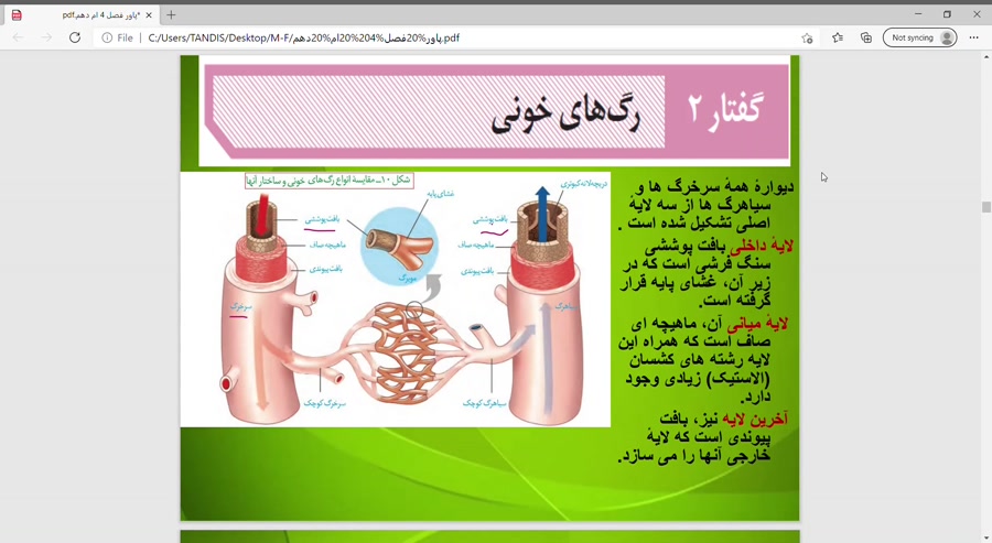 رگ های خون -مقایسه سرخرگ وسیاهرگ و مویرگ