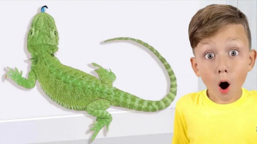 سنیا و حیوانات بزرگ در خانه اش