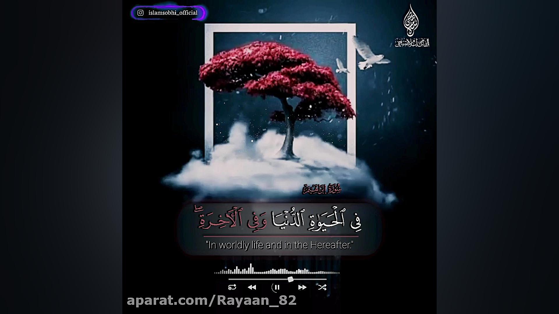 تلاوتی بسیار دلنشین از قاری اس...