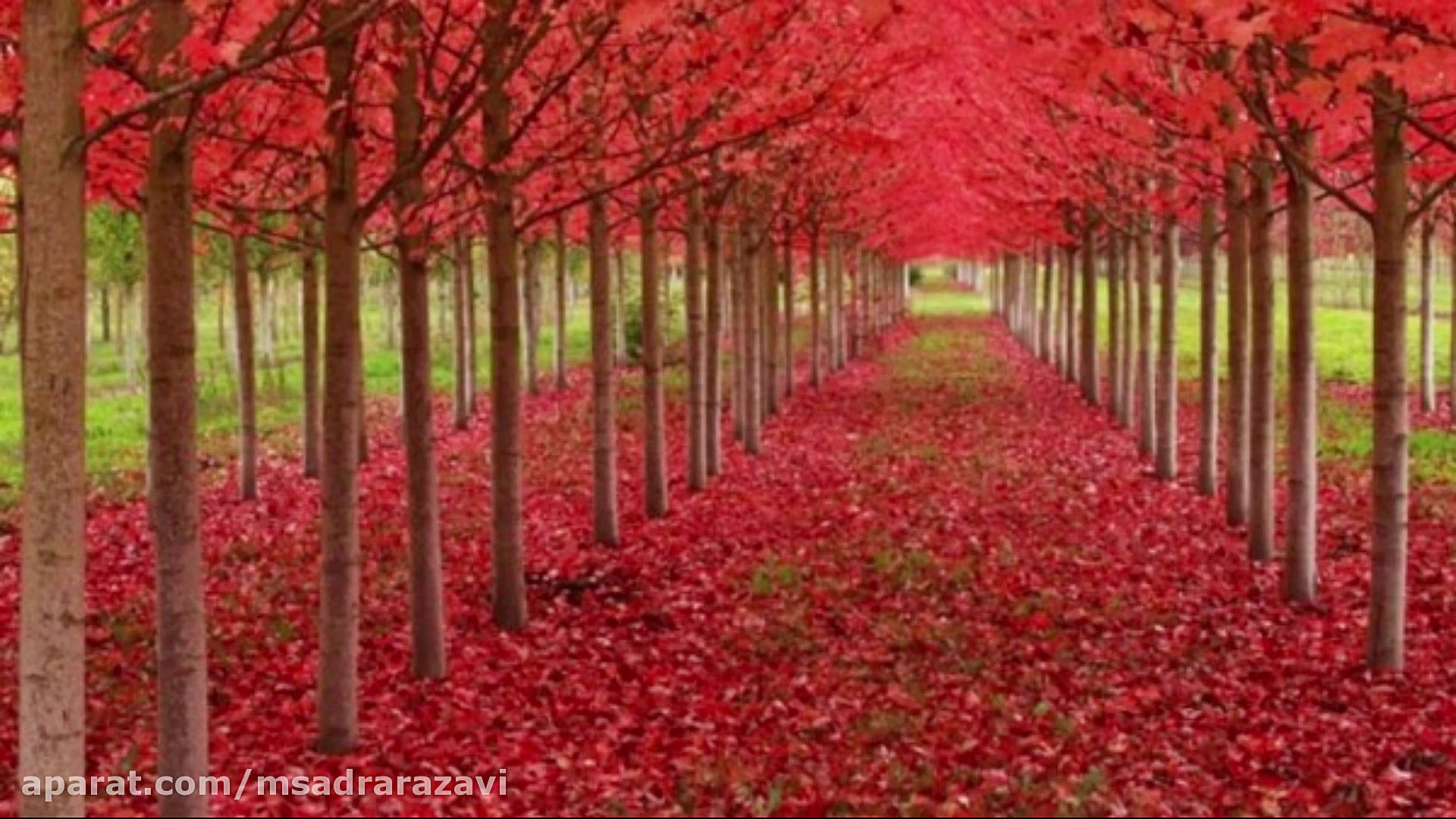 تبریک روز مادر