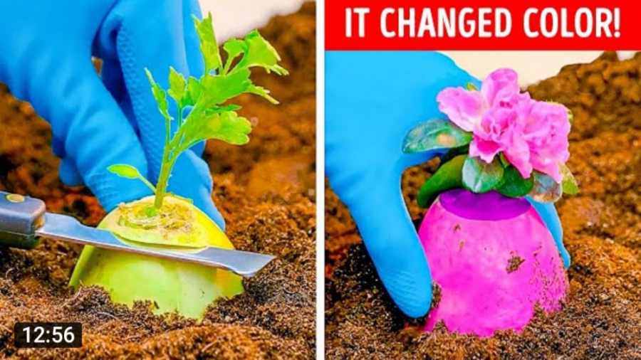 ترفند های جالب و سرگرمی  ایده...