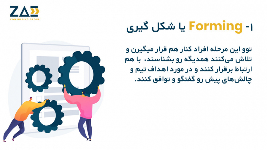 مراحل تشکیل تیم  مدل پروفسور B...