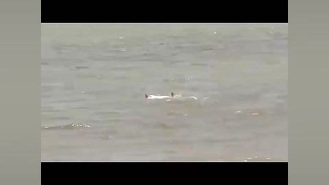 پهپاد دو زیست با قابلیت پرواز...