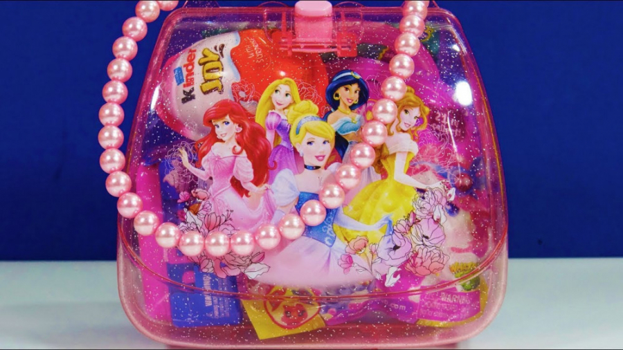 وسایل پرنسس ها در کیف پرنسسی