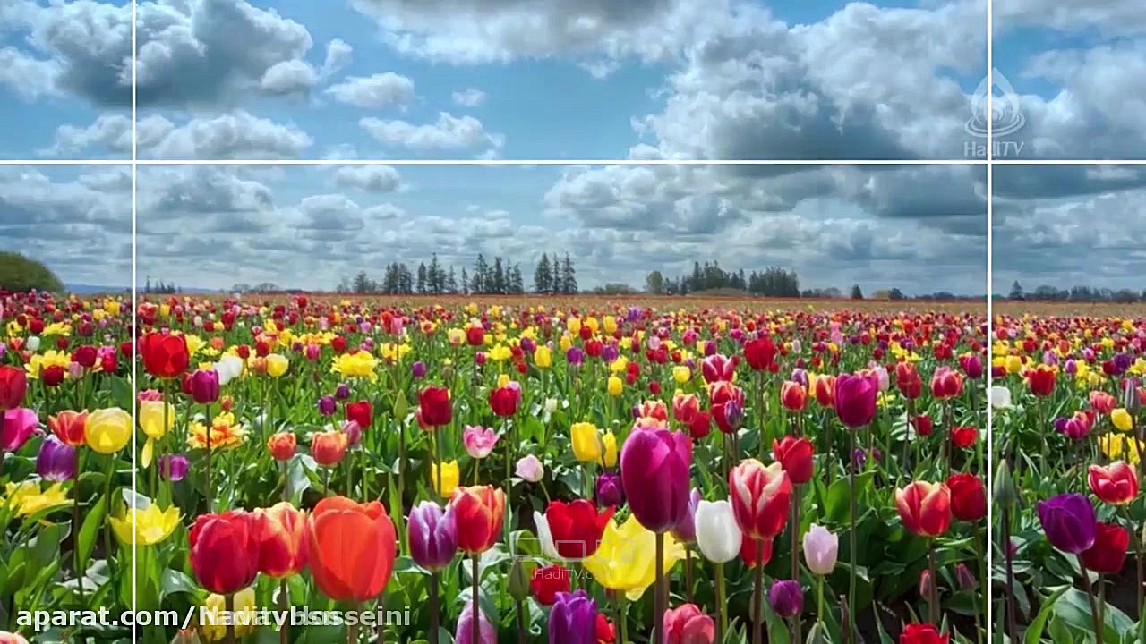 مولودی بسیار زیبا با صدای حاج...