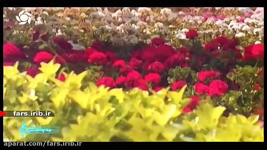 ترنه زیبای &quot; شیراز &quot;...