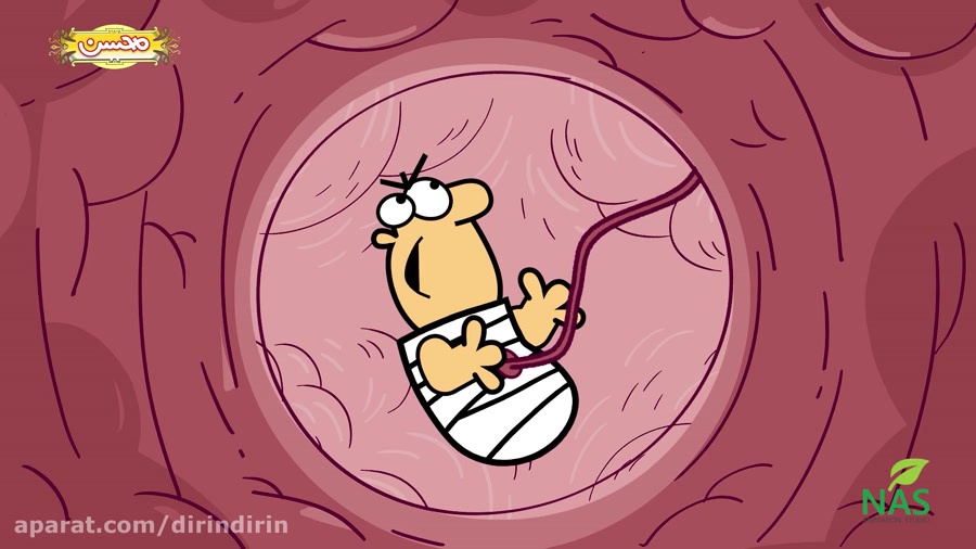 دیرین دیرین