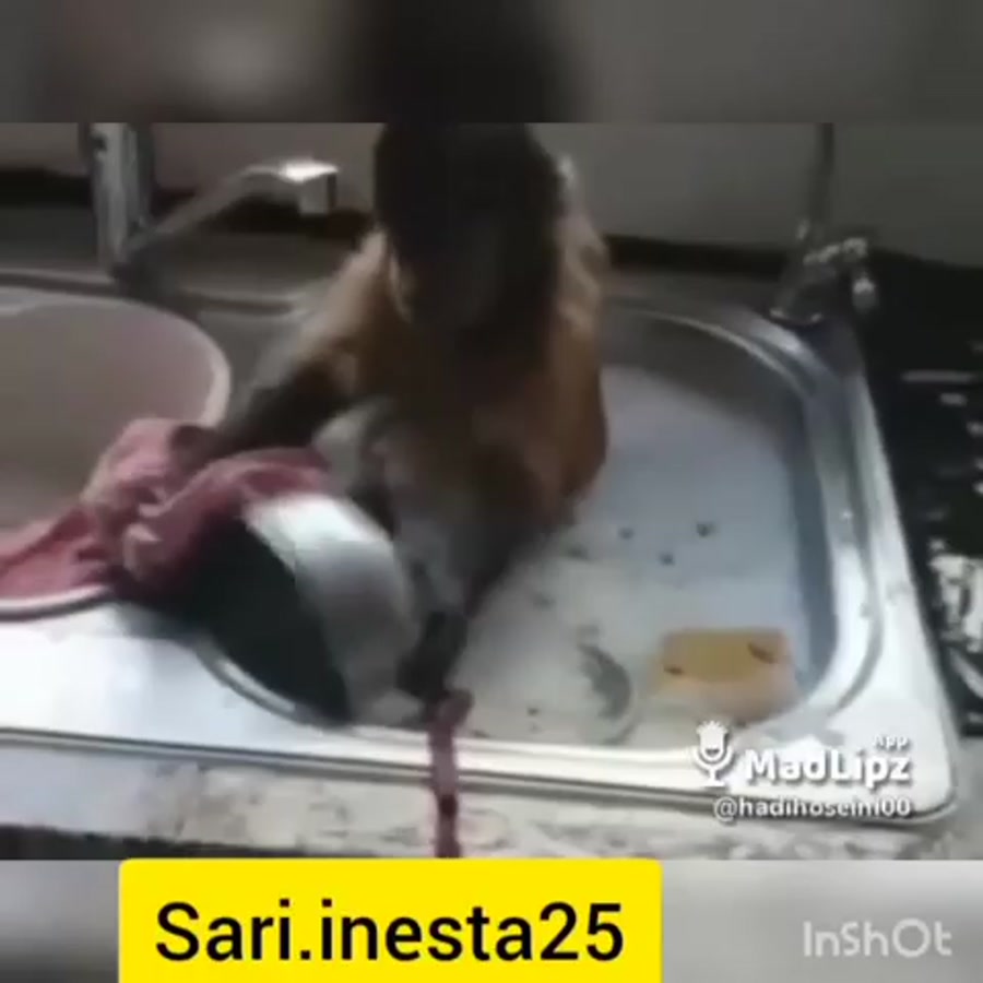 میمون فیلم طنز و کمدی