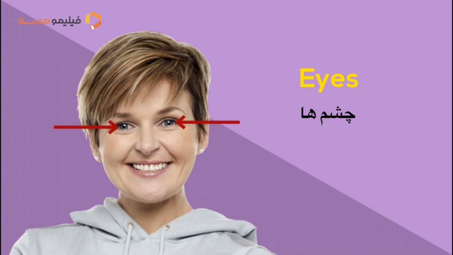 می‌خوای اعضای بدن رو به انگلیس...