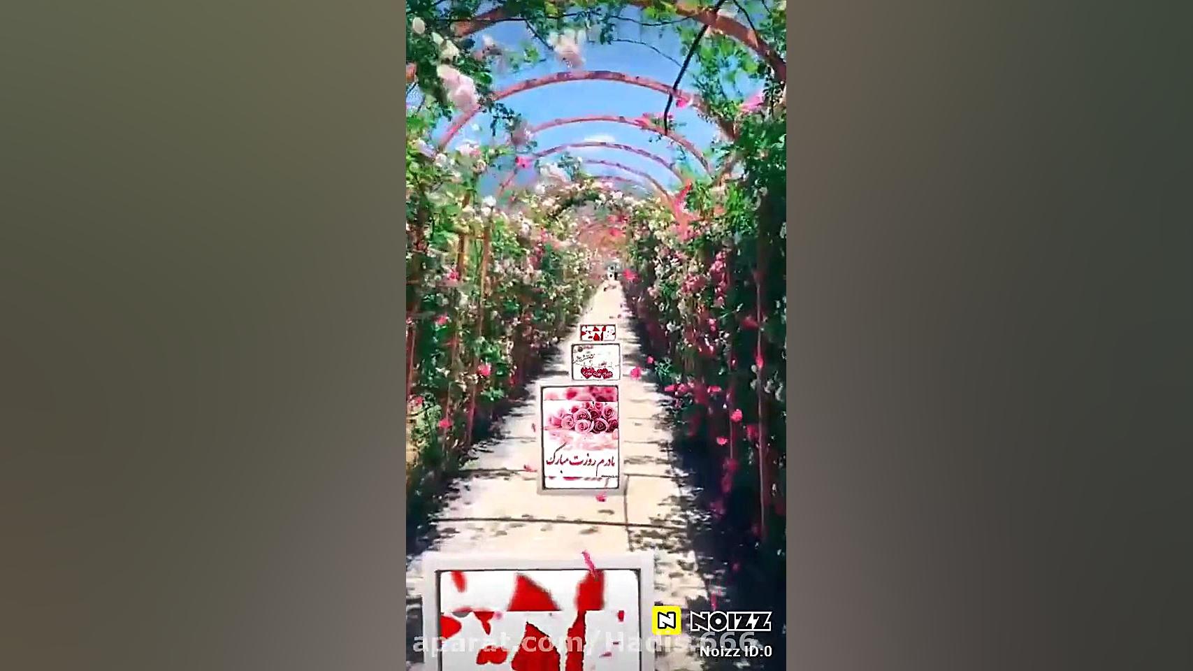 روزت مبارک مادر جان