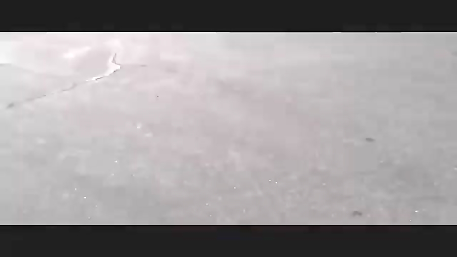 Beats Detox ***vs*** beats pro