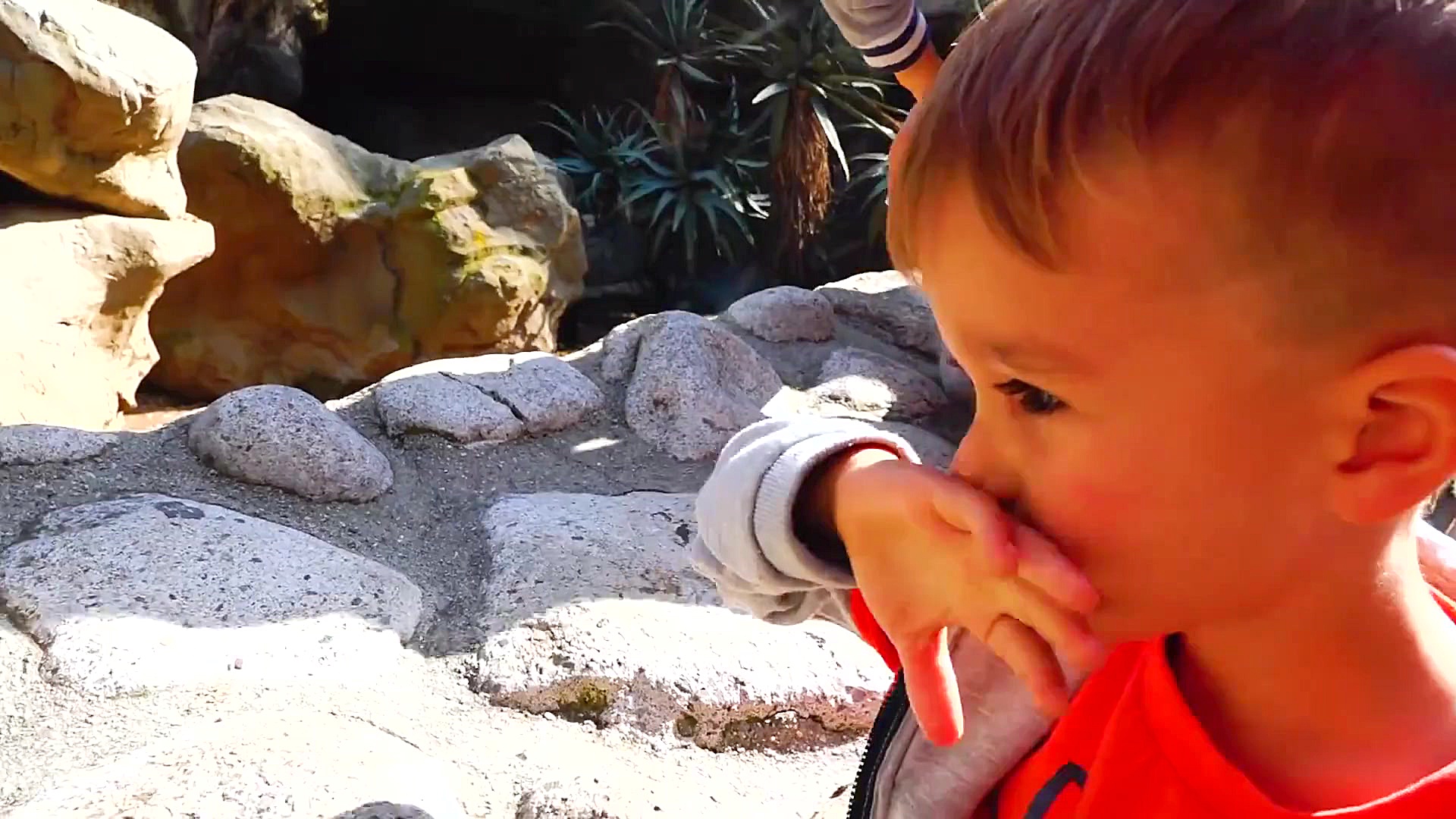 ماجراهای ولاد و نیکی ق 187  سف...