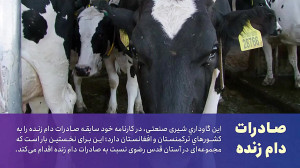 نگاهی به یکی از مجهزترین گاودا...