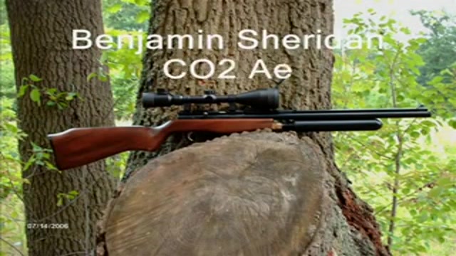 تیون سلاح بادی