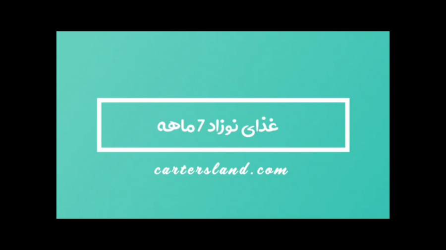 غذای نوزاد 7 ماهه | چندین غذای...