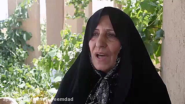 کارآفرینان برتر؛ مجموعه گردشگر...
