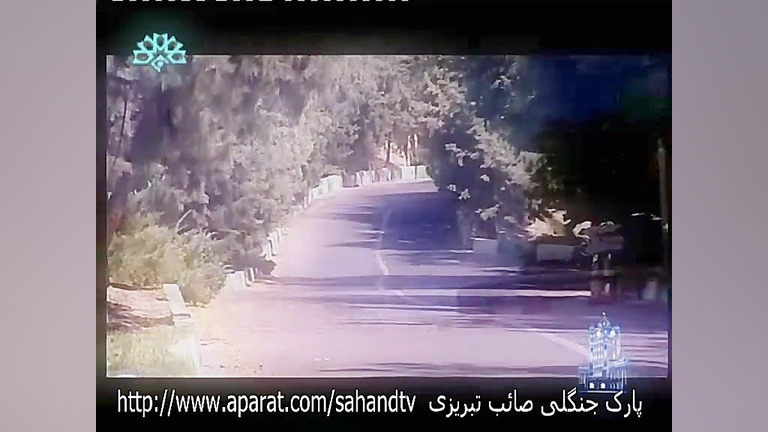 پارک جنگلی صائب تبریزی و پارک...