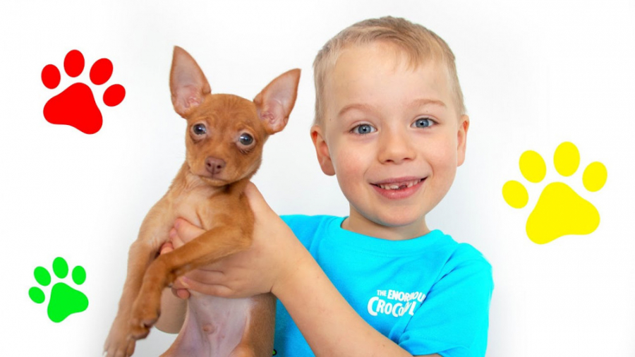 برنامه کودک جدید  گابی و الکس...