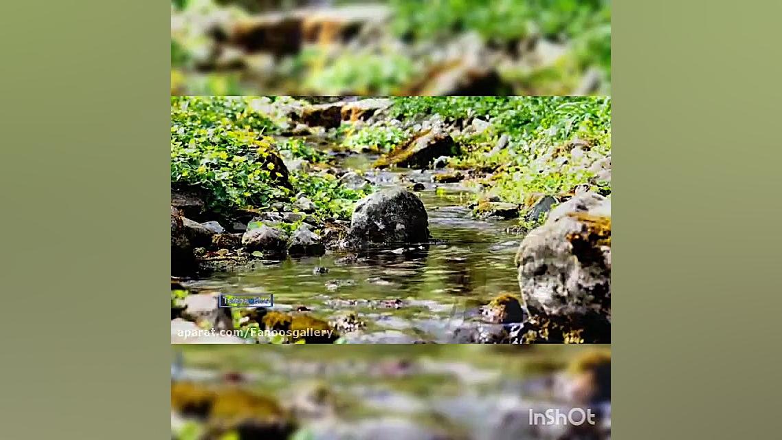 معین ( بدزدم تیشه ی فرهاد عاشق...