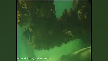 پری دریایی واقعی