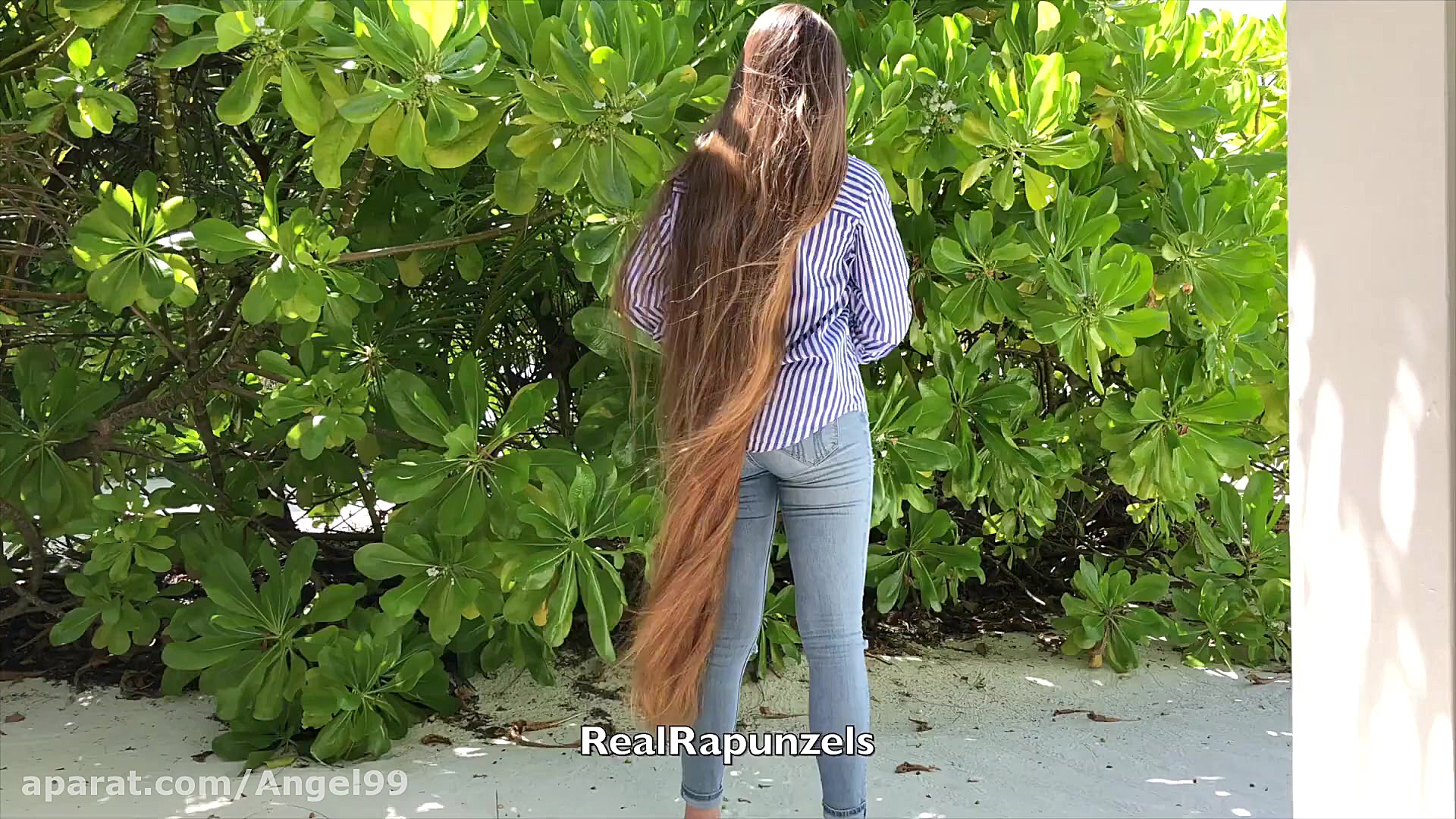 چالش موی بلند قسمت 267  مالدیو...