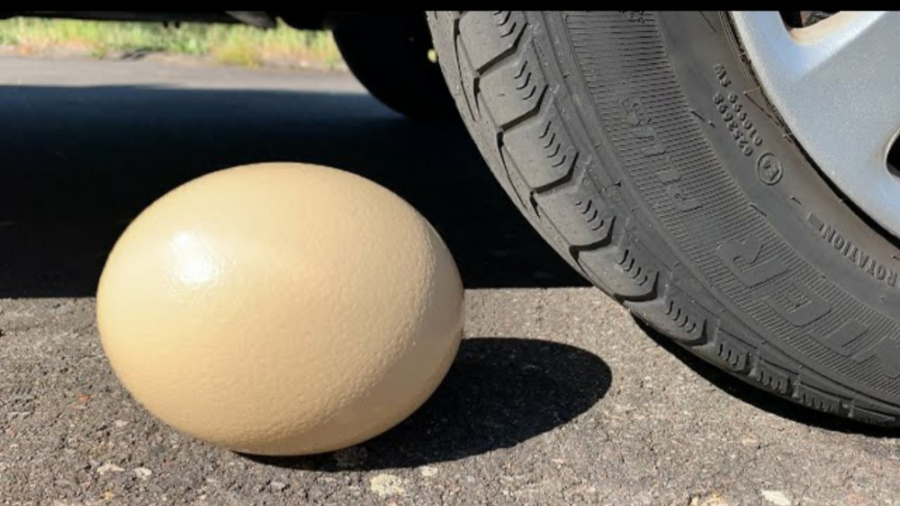 خرد کردن چیزهای ترد و نرم با م...