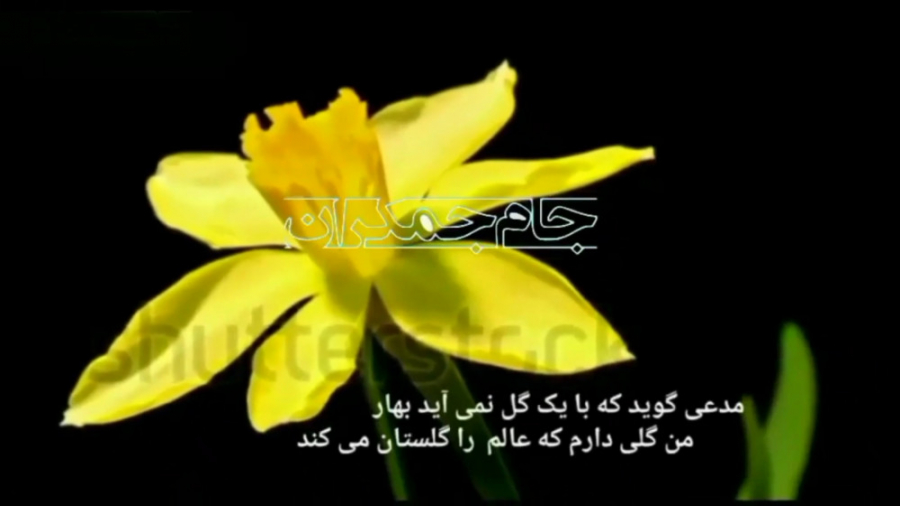 کلیپ دوستی با امام زمان عج