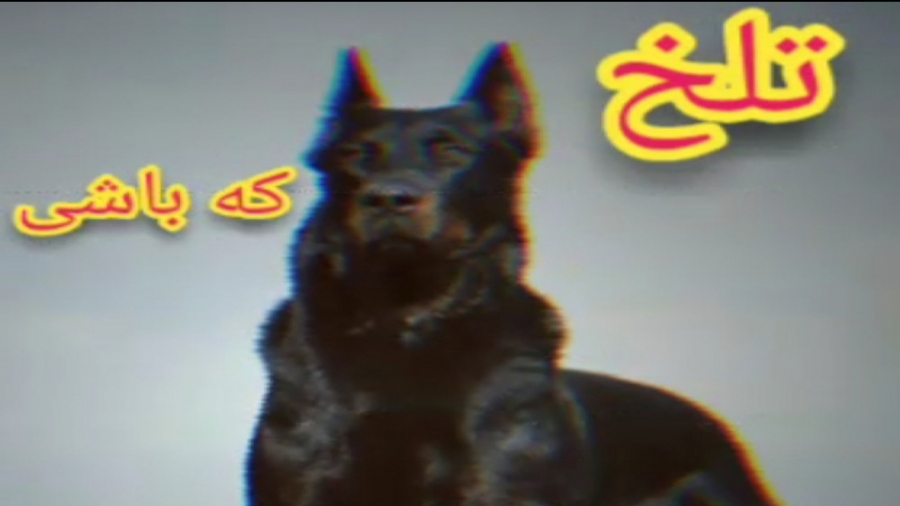 کلیپ گنگ طنز خفن ..... مخصوص ا...