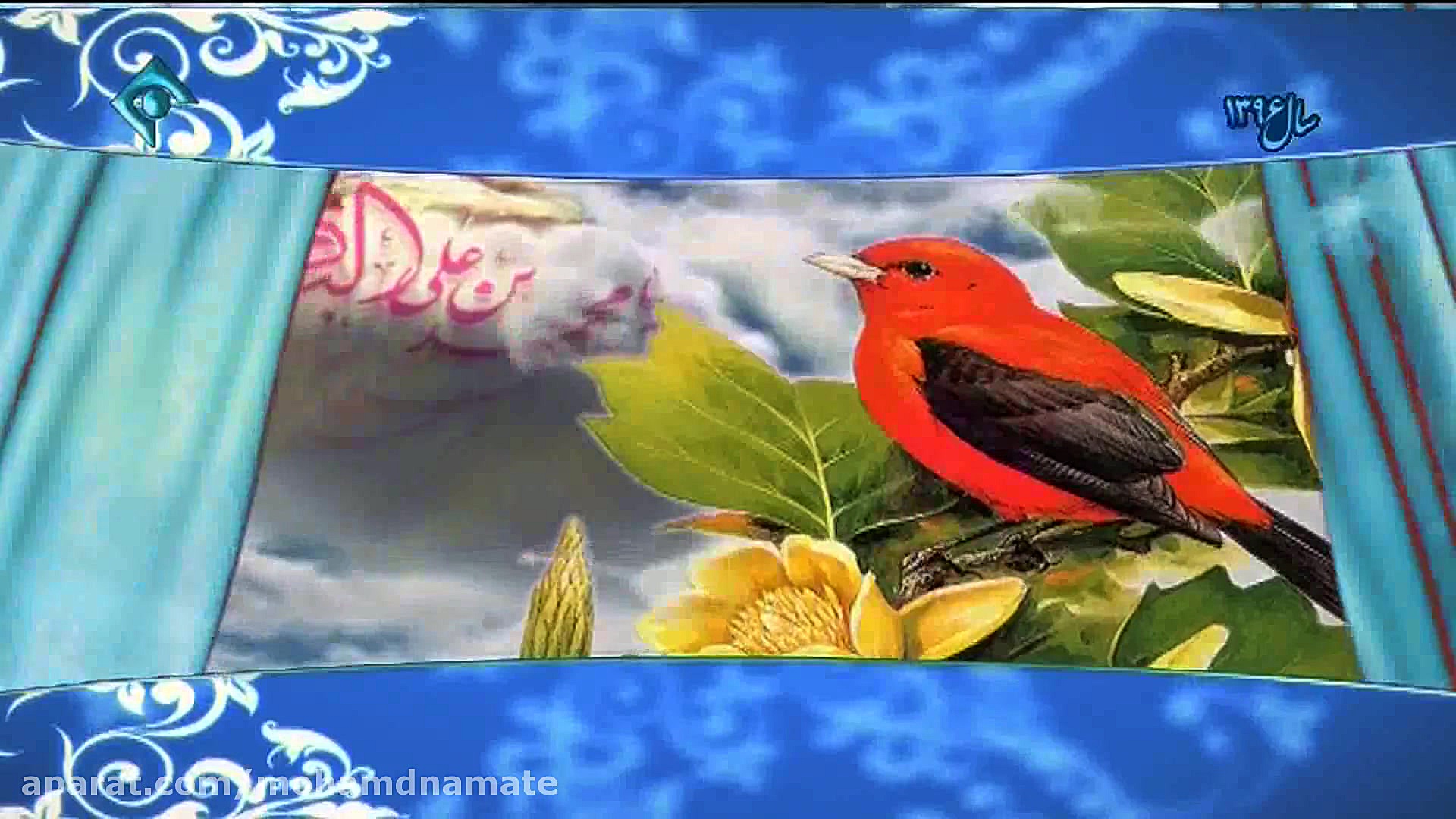 نماهنگ زیبای ولادت امام محمد ب...