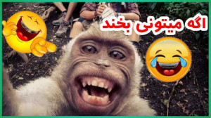 کلیپ خنده دار  شوخی های خنده...
