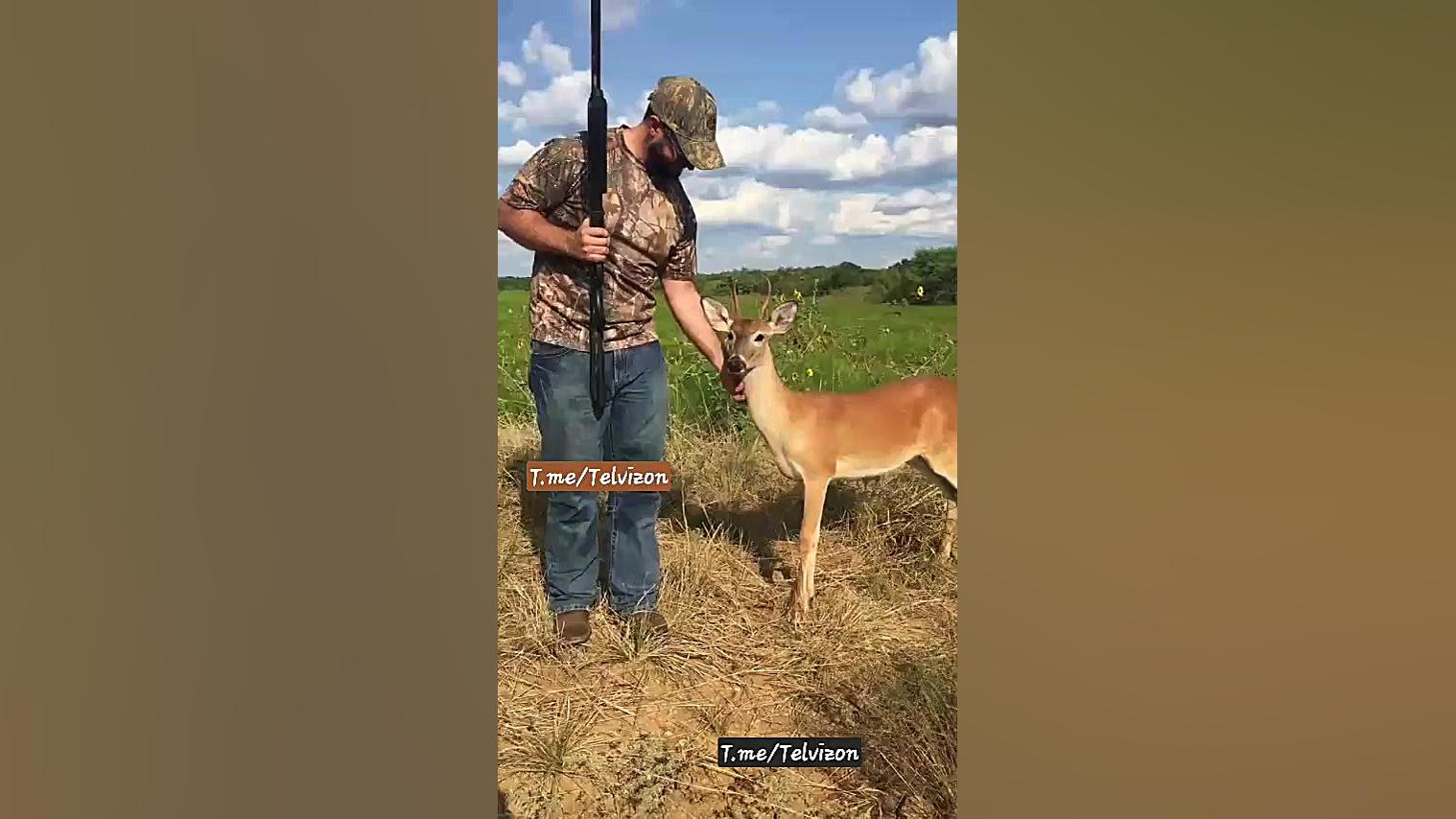 شکارچی‌ها رفتن شکار کنن، این گ...