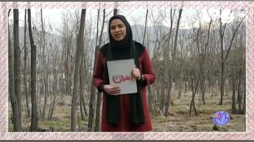 آرمین رحمتی مجری شبکه دو برنام...